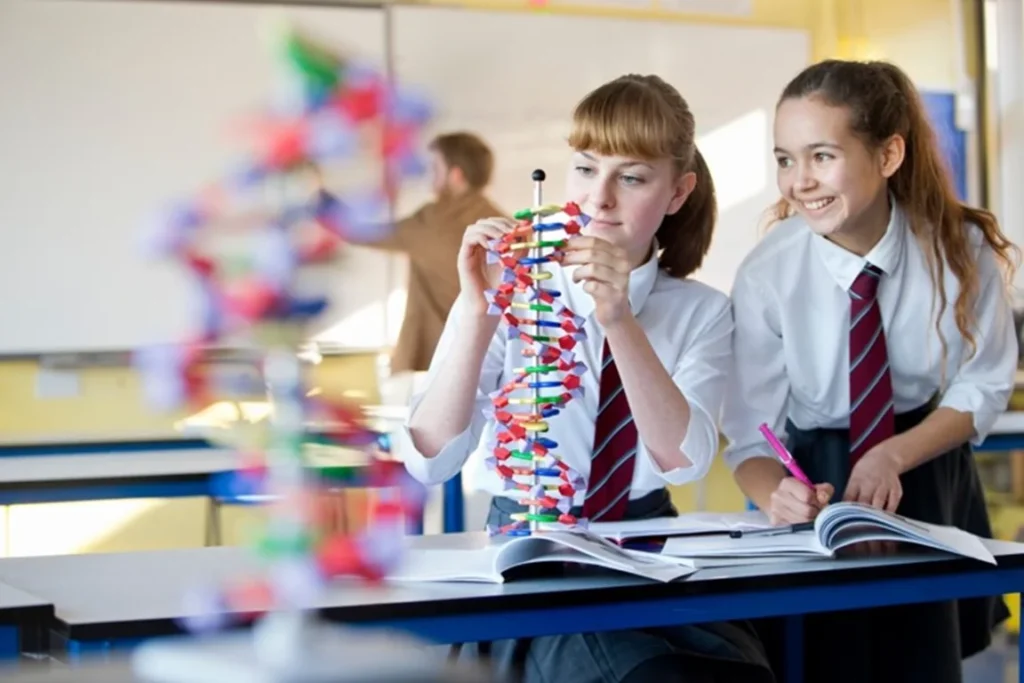 Banner-IB_Bacalaureatul-International-Diploma-Programme_YourEducation-Shape_Your-Educational-Consultant.webp